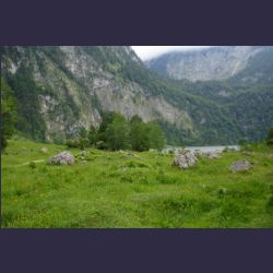 2007-05_11Obersee (009).JPG